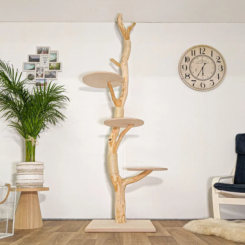RESERVIERT - Naturkratzbaum 4442 Kratzbaum Natur Holz Design 240 cm hoch Katzenbaum