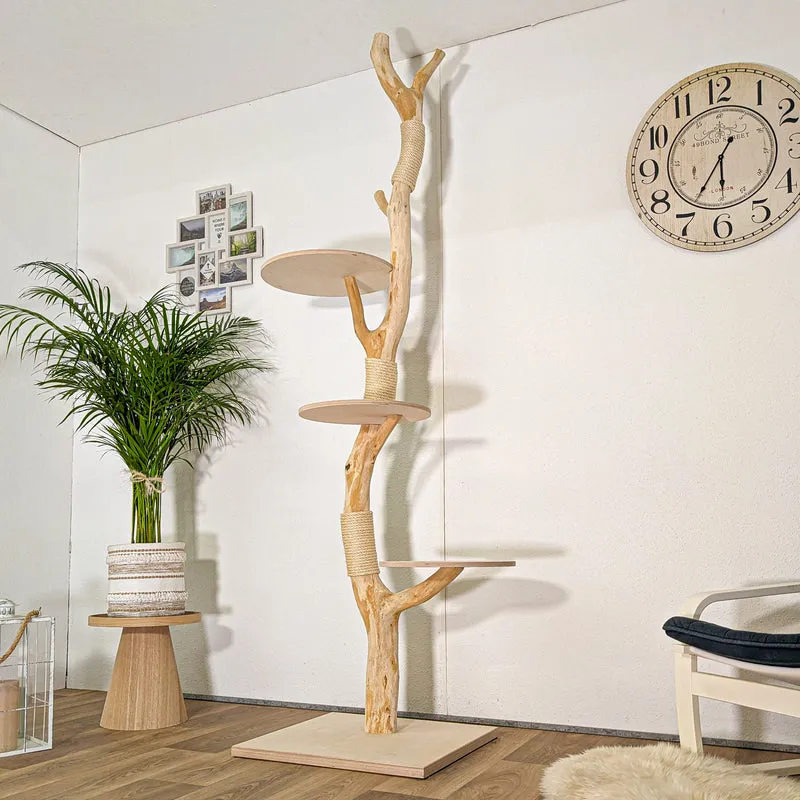 RESERVIERT - Naturkratzbaum 4442 Kratzbaum Natur Holz Design 240 cm hoch Katzenbaum