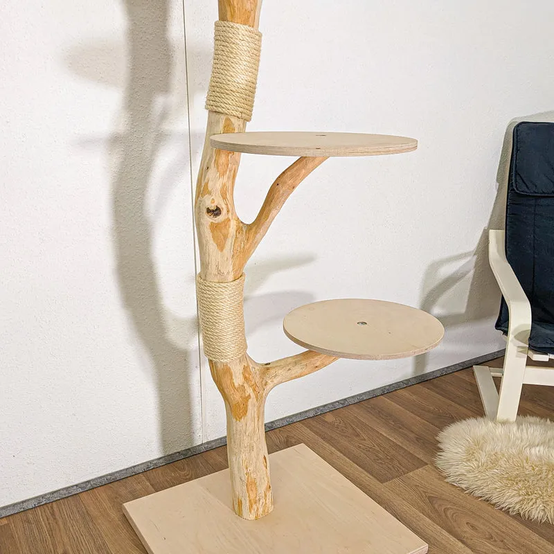 RESERVIERT - Naturkratzbaum 4442 Kratzbaum Natur Holz Design 240 cm hoch Katzenbaum