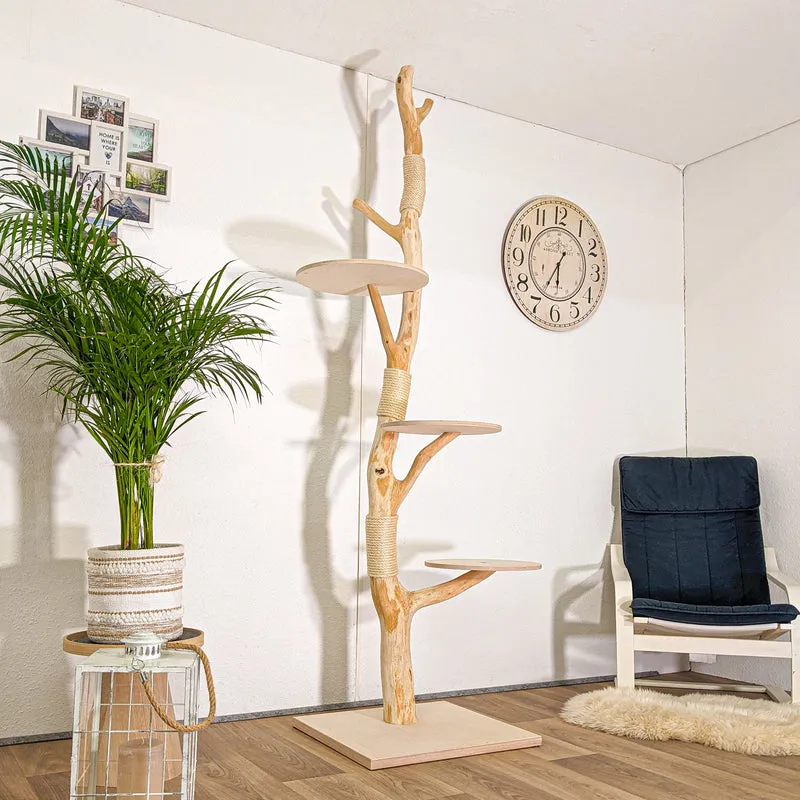 RESERVIERT - Naturkratzbaum 4442 Kratzbaum Natur Holz Design 240 cm hoch Katzenbaum