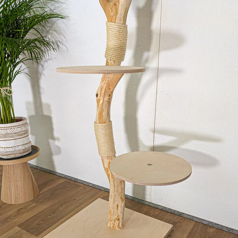 RESERVIERT - Naturkratzbaum 4442 Kratzbaum Natur Holz Design 240 cm hoch Katzenbaum