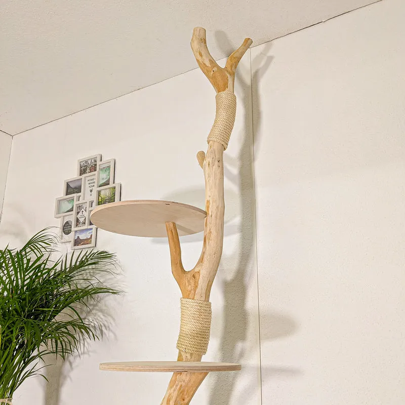 RESERVIERT - Naturkratzbaum 4442 Kratzbaum Natur Holz Design 240 cm hoch Katzenbaum