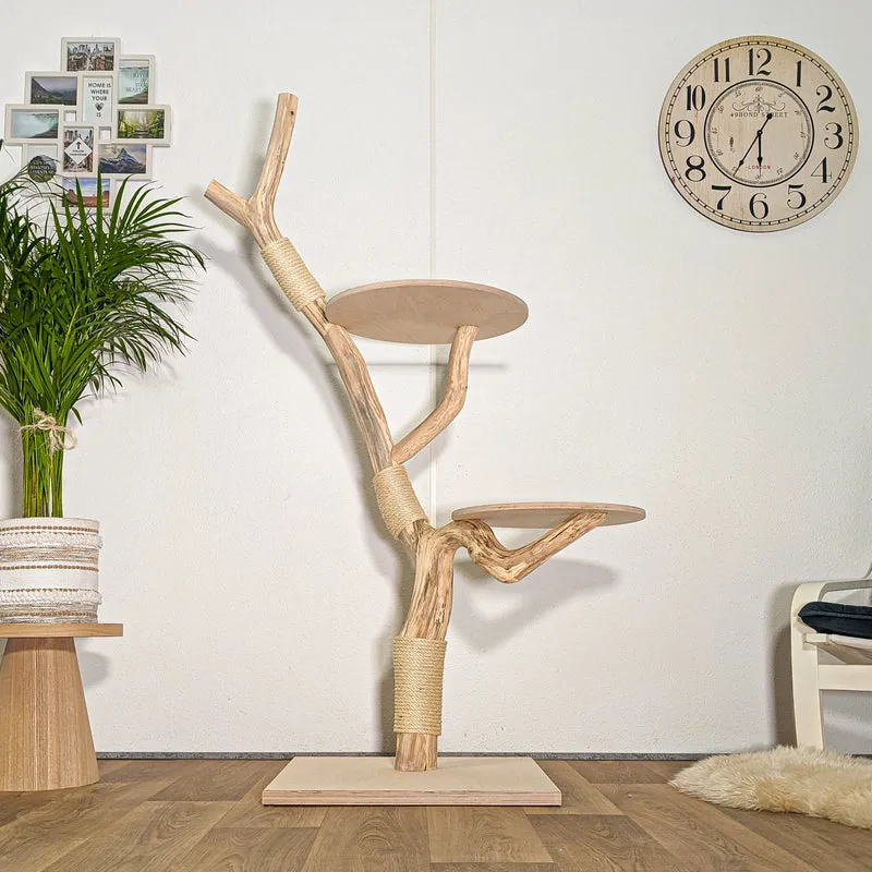 Naturkratzbaum 4439 Kratzbaum Natur Holz Design 167 cm hoch Katzenbaum