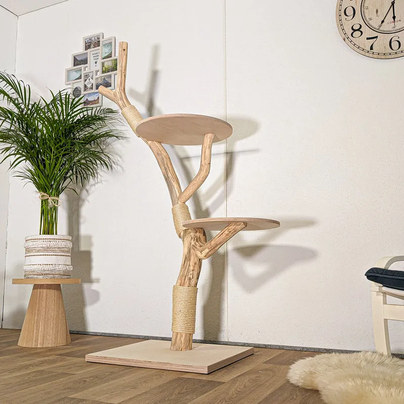 Naturkratzbaum 4439 Kratzbaum Natur Holz Design 167 cm hoch Katzenbaum