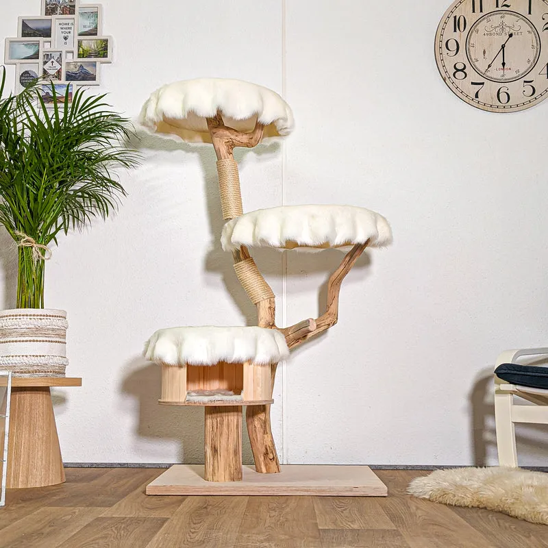 RESERVIERT - Naturkratzbaum 4438 Kratzbaum Natur Holz Design 143 cm hoch Katzenbaum