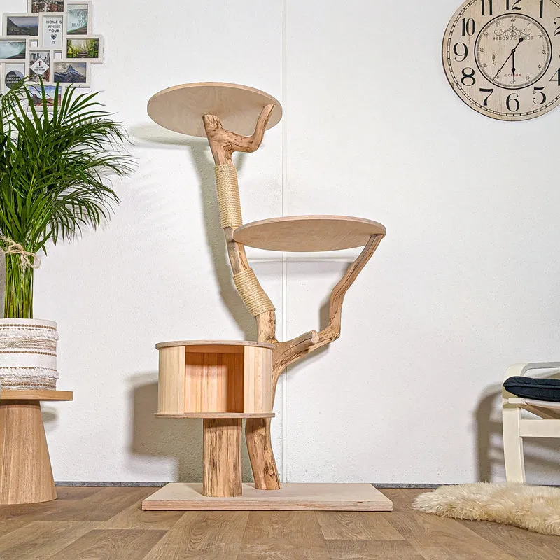 RESERVIERT - Naturkratzbaum 4438 Kratzbaum Natur Holz Design 143 cm hoch Katzenbaum