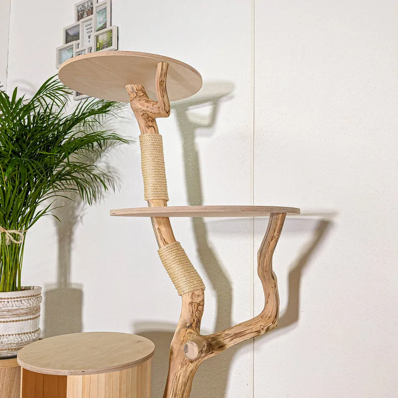 RESERVIERT - Naturkratzbaum 4438 Kratzbaum Natur Holz Design 143 cm hoch Katzenbaum