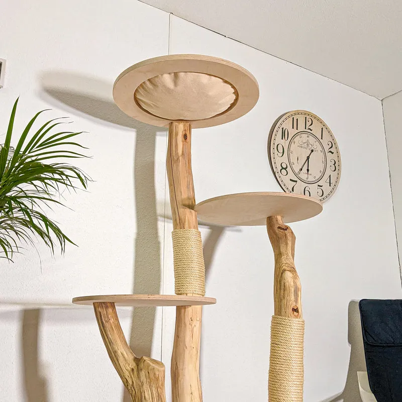 RESERVIERT - Naturkratzbaum 4436 Kratzbaum Natur Holz Design 175 cm hoch Katzenbaum