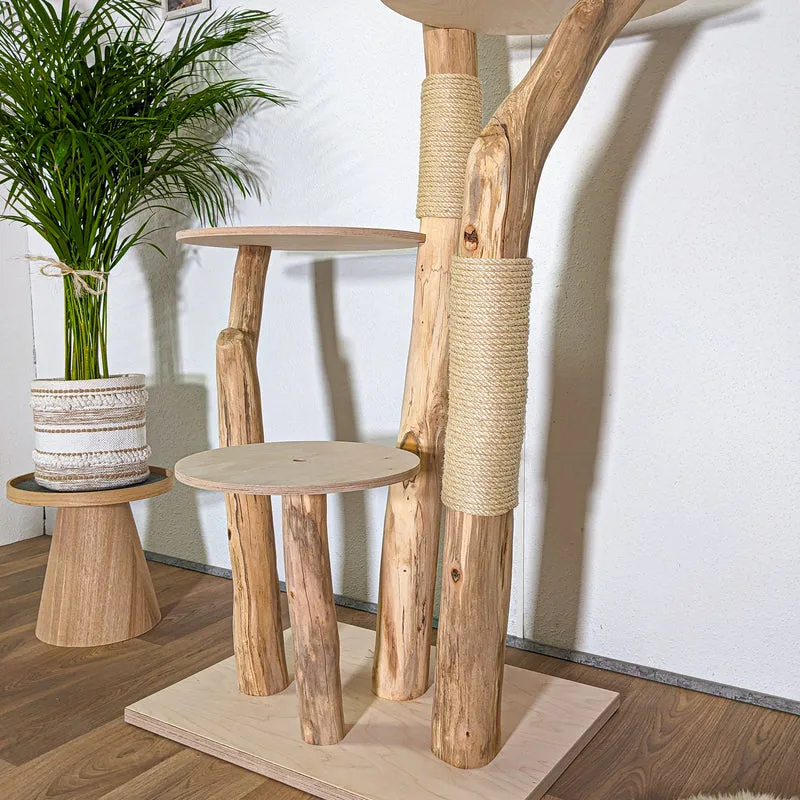 RESERVIERT - Naturkratzbaum 4436 Kratzbaum Natur Holz Design 175 cm hoch Katzenbaum