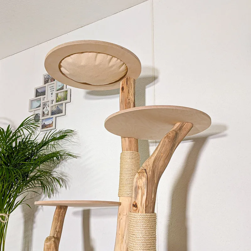 RESERVIERT - Naturkratzbaum 4436 Kratzbaum Natur Holz Design 175 cm hoch Katzenbaum