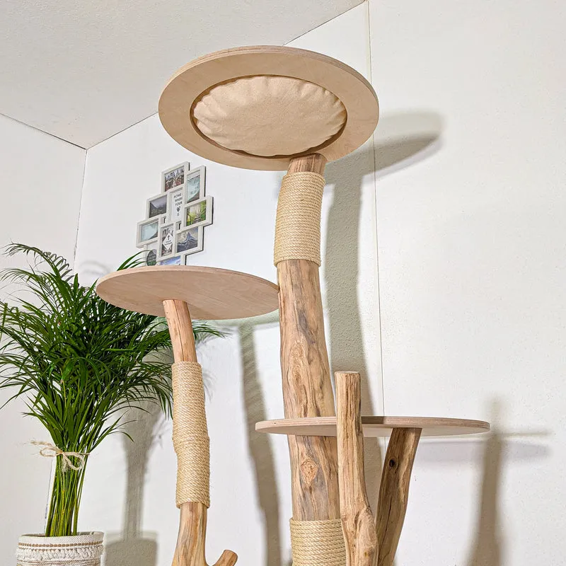 Naturkratzbaum 4433 Kratzbaum Natur Holz Design 175 cm hoch Katzenbaum