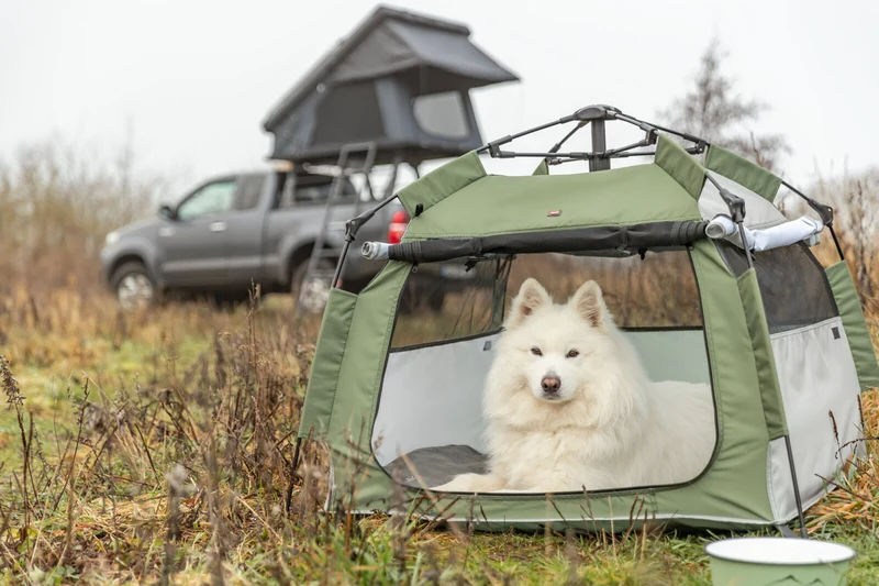 Pop-Up Hundezelt mit Mesh für schnellen Auf- und Abbau