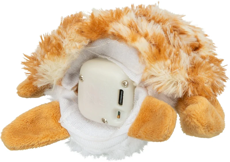 Zappelschildkröte