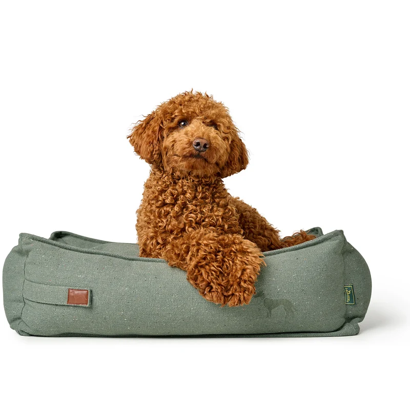 Recycling Hundesofa Belluno