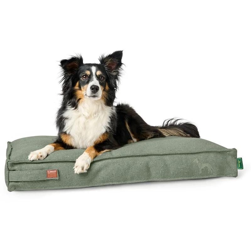 Recycling Hundekissen Belluno