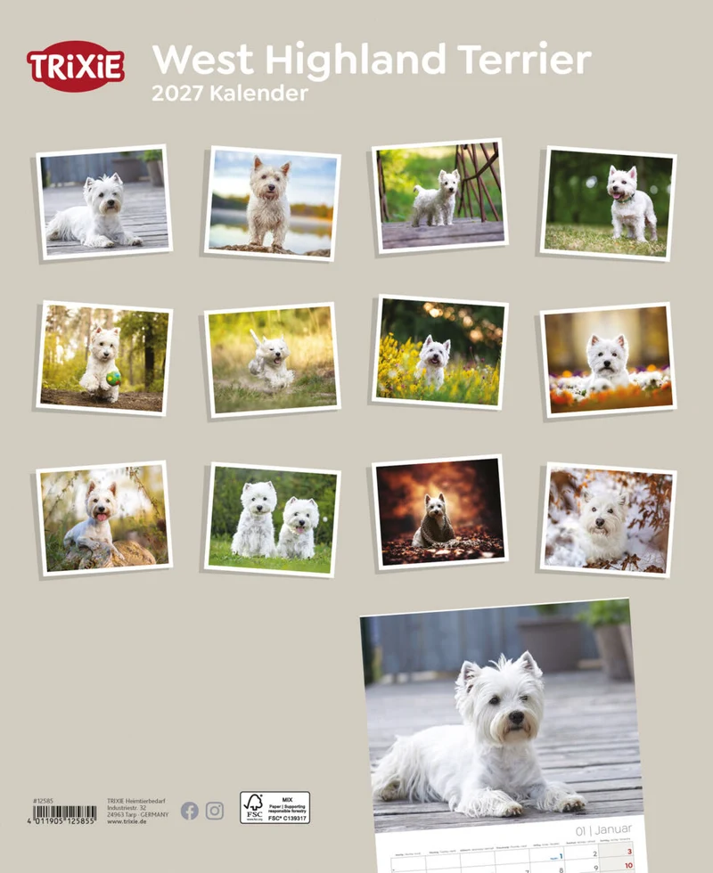 Kalender West Highland Terrier
