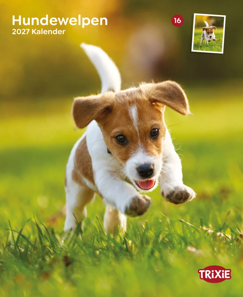 Kalender Hundewelpen