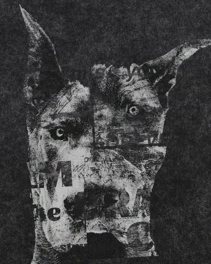 KIIKIO Vintage Washed Doberman Graphic Long-Sleeve T-Shirt