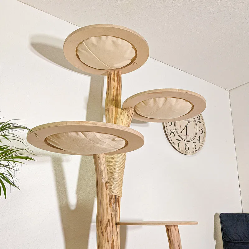 Naturkratzbaum 4394 Kratzbaum Natur Holz Design 205 cm hoch Katzenbaum