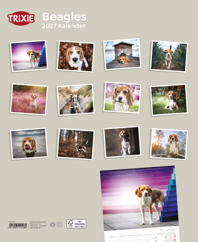 Kalender Beagle