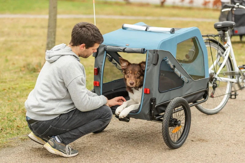 Fahrradanhänger für Hunde
