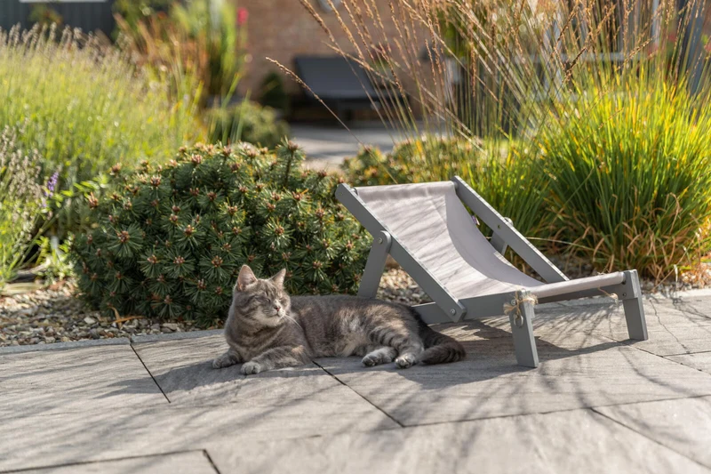 Outdoor Strandstuhl für Katzen