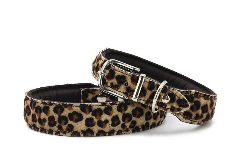 Halsband Leopard