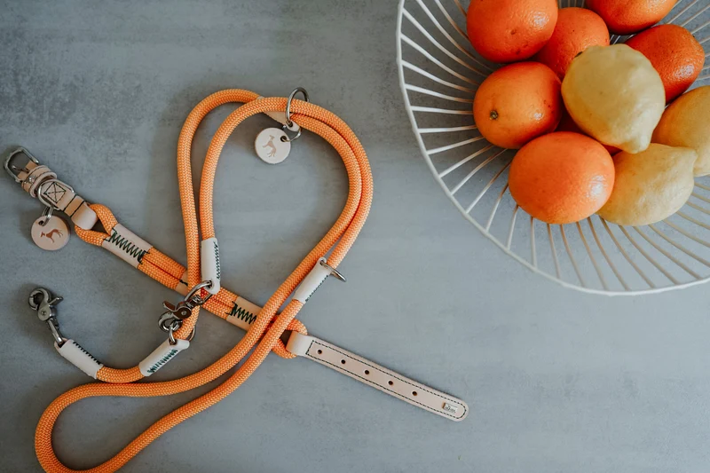 MALIA Set Halsband & Leine | apricot