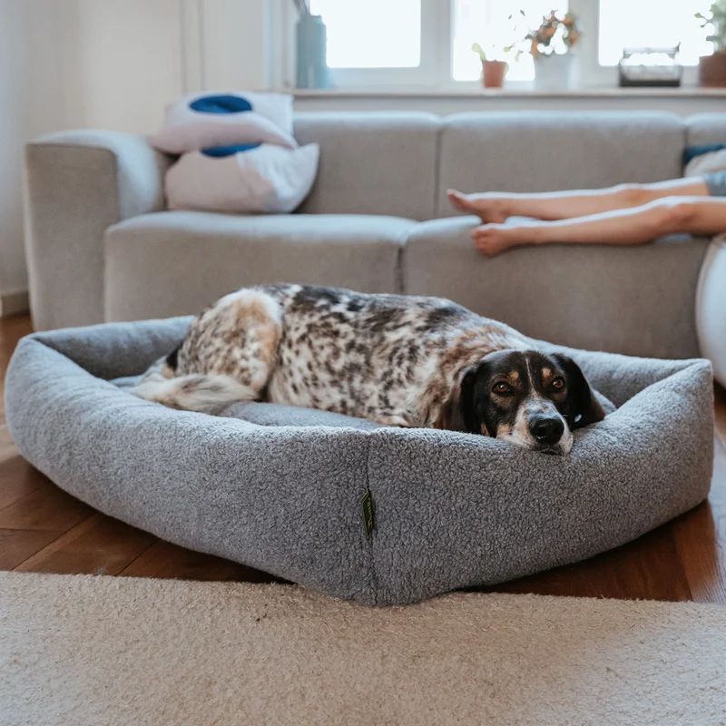 Hundesofa Kumara