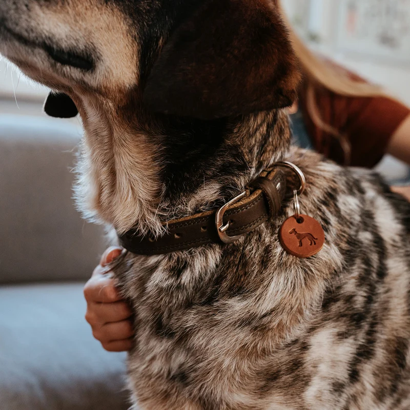Halsband Lemvig