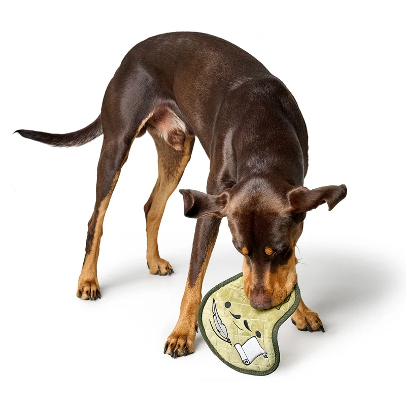 Hundespielzeug Koloa