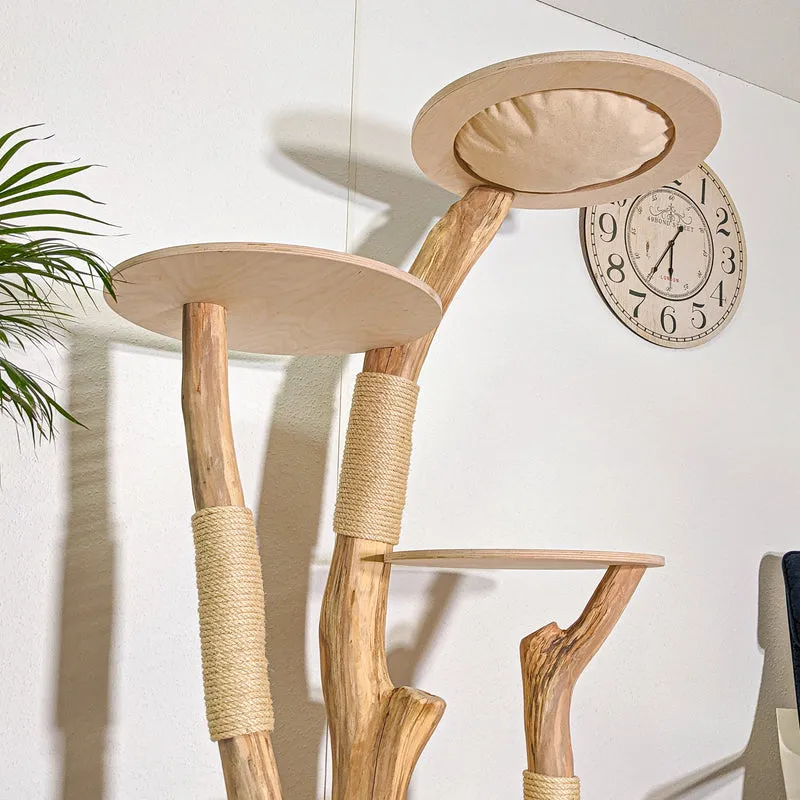 Naturkratzbaum 4423 Kratzbaum Natur Holz Design 174 cm hoch Katzenbaum
