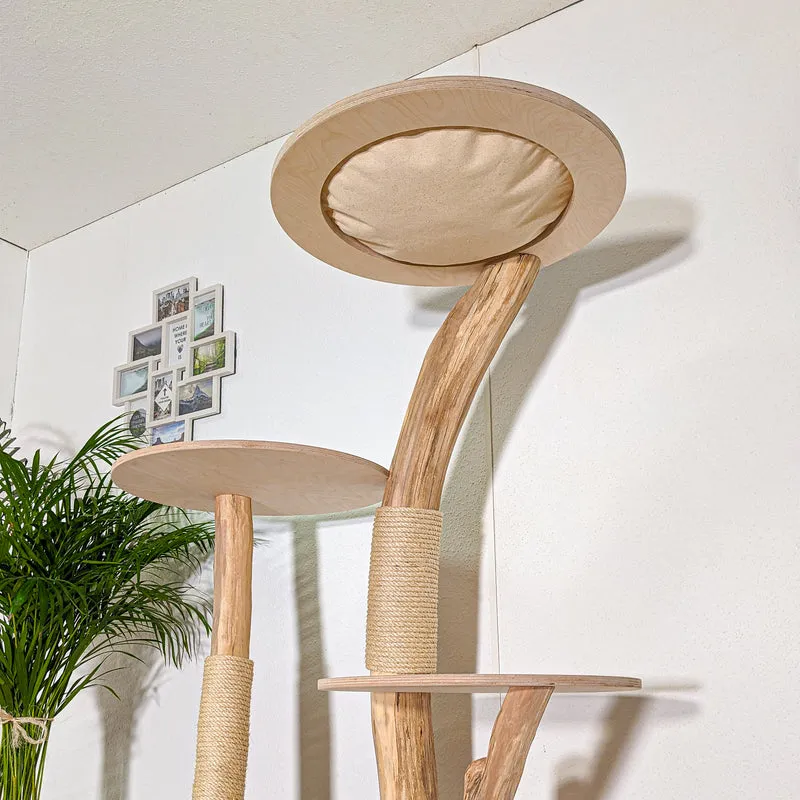 Naturkratzbaum 4423 Kratzbaum Natur Holz Design 174 cm hoch Katzenbaum