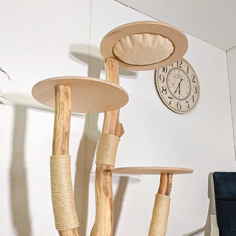Naturkratzbaum 4410 Kratzbaum Natur Holz Design 175 cm hoch Katzenbaum