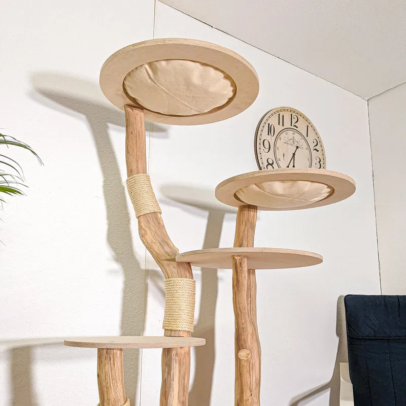 RESERVIERT - Naturkratzbaum 4411 Kratzbaum Natur Holz Design 170 cm hoch Katzenbaum