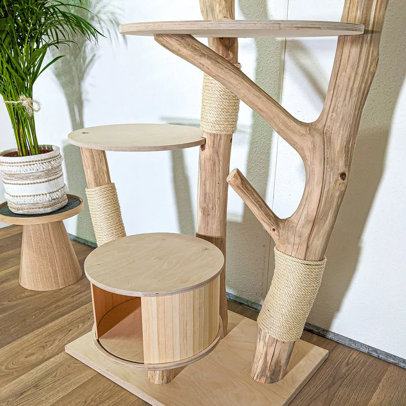 RESERVIERT - Naturkratzbaum 4411 Kratzbaum Natur Holz Design 170 cm hoch Katzenbaum