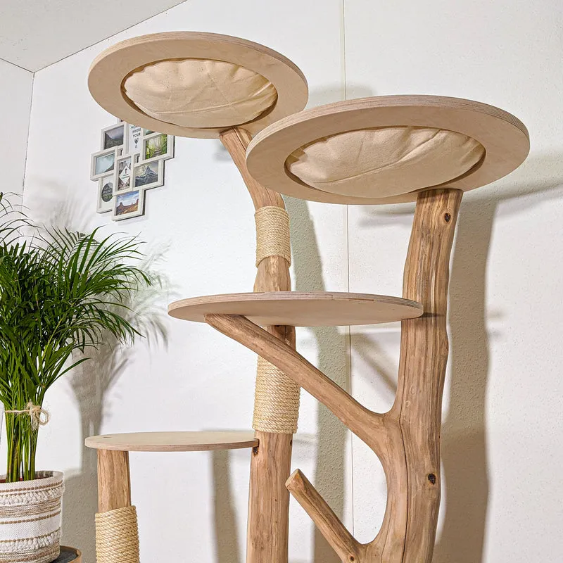 RESERVIERT - Naturkratzbaum 4411 Kratzbaum Natur Holz Design 170 cm hoch Katzenbaum