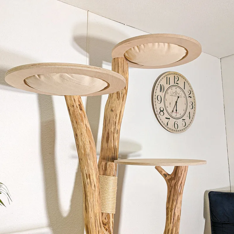 Naturkratzbaum 4413 Kratzbaum Natur Holz Design 205 cm hoch Katzenbaum