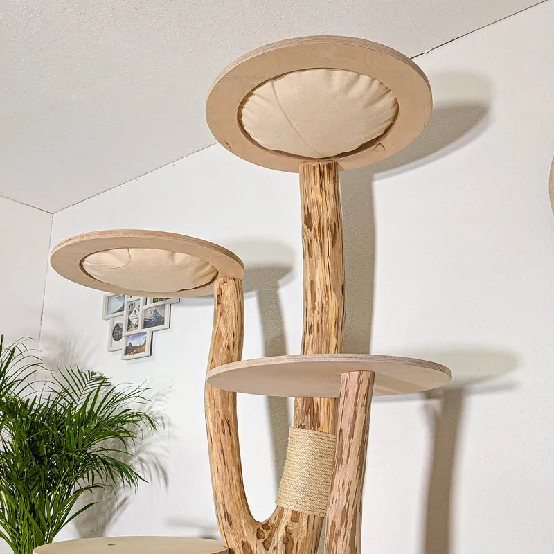 Naturkratzbaum 4413 Kratzbaum Natur Holz Design 205 cm hoch Katzenbaum