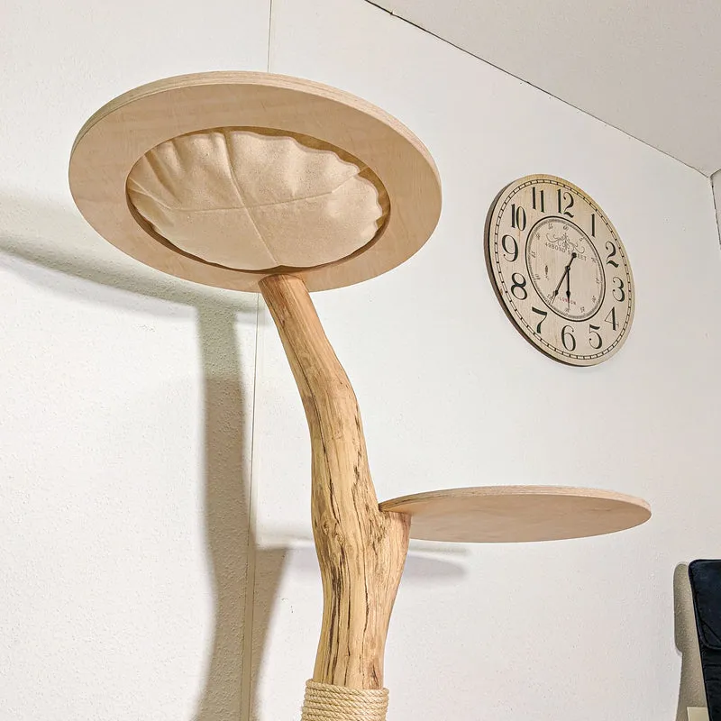 Naturkratzbaum 4414 Kratzbaum Natur Holz Design 144 cm hoch Katzenbaum