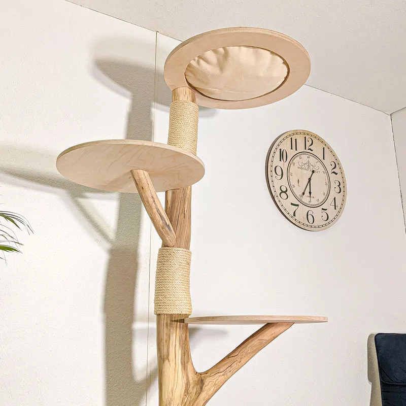 Naturkratzbaum 4416 Kratzbaum Natur Holz Design 200 cm hoch Katzenbaum
