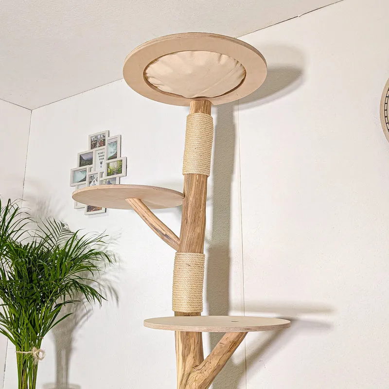 Naturkratzbaum 4416 Kratzbaum Natur Holz Design 200 cm hoch Katzenbaum