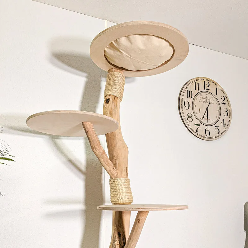 Naturkratzbaum 4417 Kratzbaum Natur Holz Design 190 cm hoch Katzenbaum