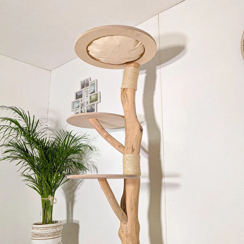 Naturkratzbaum 4417 Kratzbaum Natur Holz Design 190 cm hoch Katzenbaum