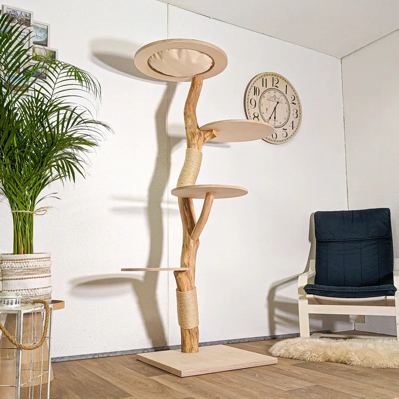 RESERVIERT - Naturkratzbaum 4418 Kratzbaum Natur Holz Design 183 cm hoch Katzenbaum