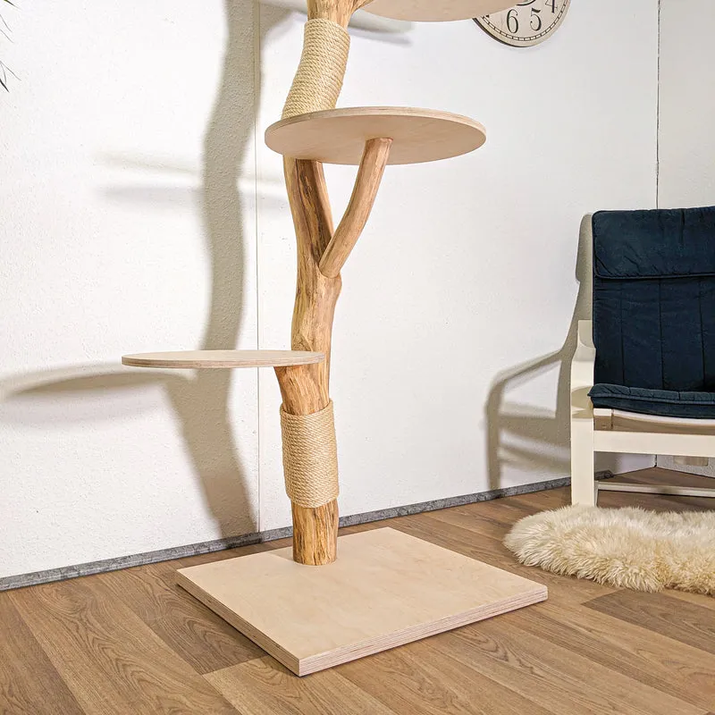 RESERVIERT - Naturkratzbaum 4418 Kratzbaum Natur Holz Design 183 cm hoch Katzenbaum