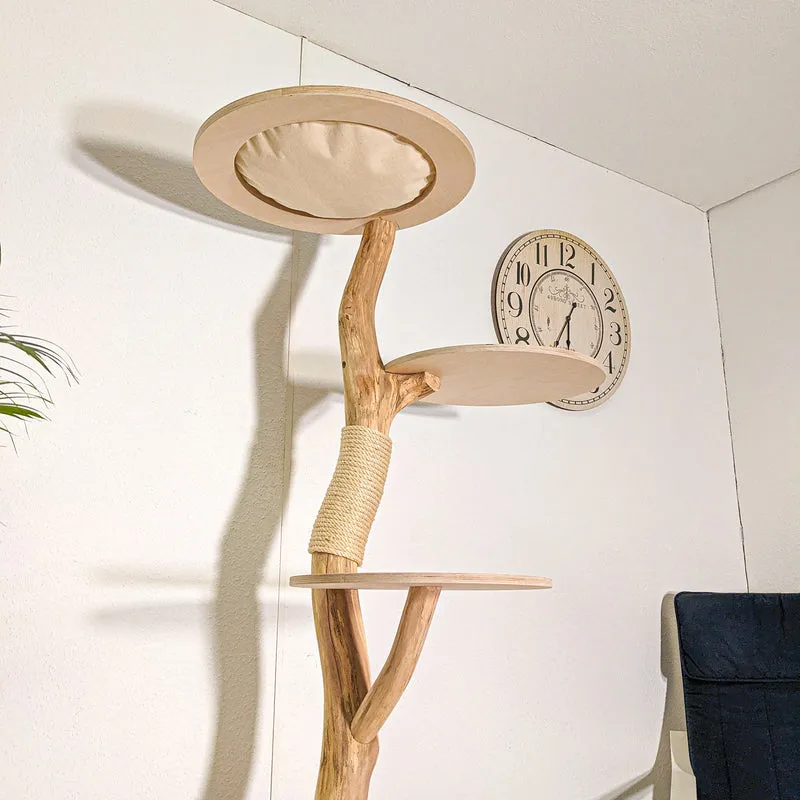 RESERVIERT - Naturkratzbaum 4418 Kratzbaum Natur Holz Design 183 cm hoch Katzenbaum