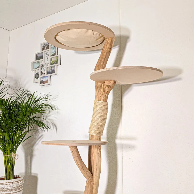 RESERVIERT - Naturkratzbaum 4418 Kratzbaum Natur Holz Design 183 cm hoch Katzenbaum