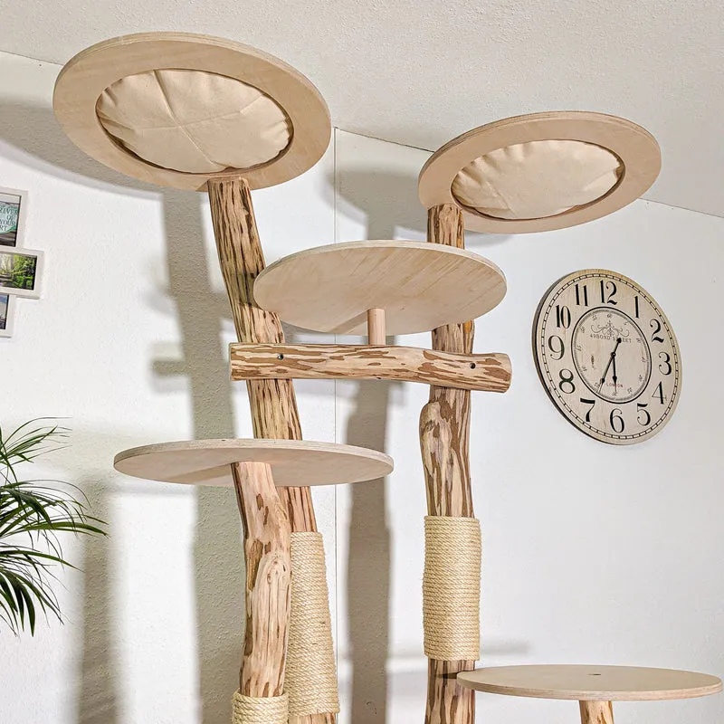RESERVIERT - Naturkratzbaum 4419 Kratzbaum Natur Holz Design 210 cm hoch Katzenbaum