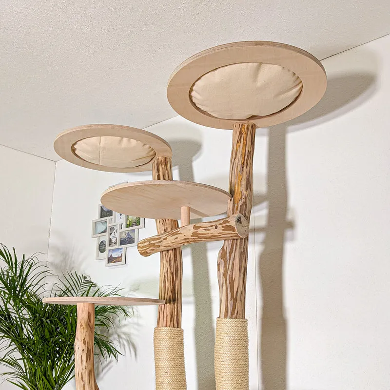 RESERVIERT - Naturkratzbaum 4419 Kratzbaum Natur Holz Design 210 cm hoch Katzenbaum